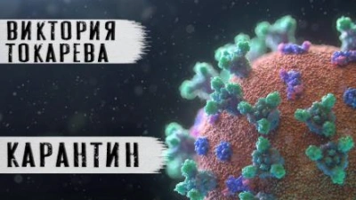 Карантин - Виктория Токарева - Библиотека аудиокниг