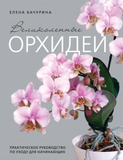 Великолепные орхидеи. Практичное руководство по уходу для начинающих - Елена Бачурина - Библиотека аудиокниг