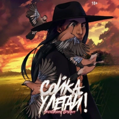 Сойка, улетай! - Александра Огневич - Библиотека аудиокниг