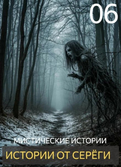 Истории от Серёги 6 - Библиотека аудиокниг