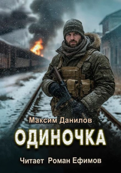Одиночка - Максим Данилов - Библиотека аудиокниг