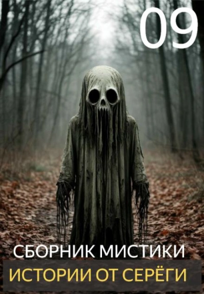 Истории от Серёги 9 - Библиотека аудиокниг