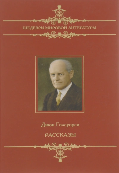 Человек из Девона. Рассказы - Джон Голсуорси - Библиотека аудиокниг