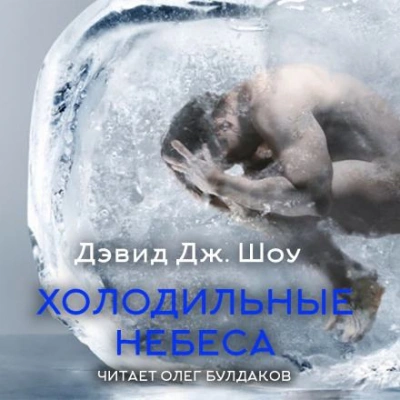 Холодильные небеса - Дэвид Дж. Шоу - Библиотека аудиокниг