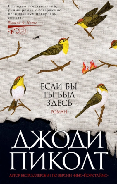 Если бы ты был здесь  - Джоди Пиколт - Библиотека аудиокниг