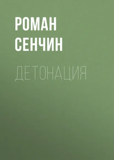 Детонация - Роман Сенчин - Библиотека аудиокниг