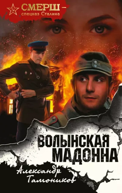 Волынская мадонна - Александр Тамоников - Библиотека аудиокниг