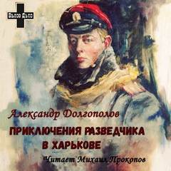 Приключения разведчика в Харькове. Рассказы - Александр Долгополов - Библиотека аудиокниг