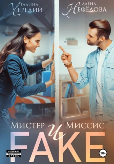 Мистер и Миссис Фейк - Галина Чередий, Алёна Нефёдова - Библиотека аудиокниг