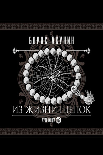 Из жизни щепок - Борис Акунин - Библиотека аудиокниг