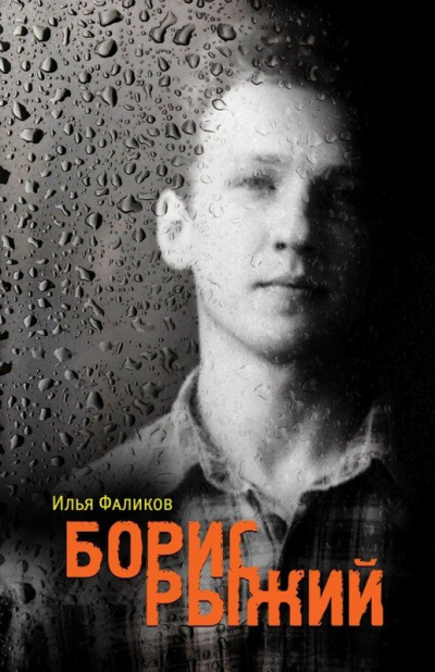 Борис Рыжий. Дивий Камень - Илья Фаликов - Библиотека аудиокниг