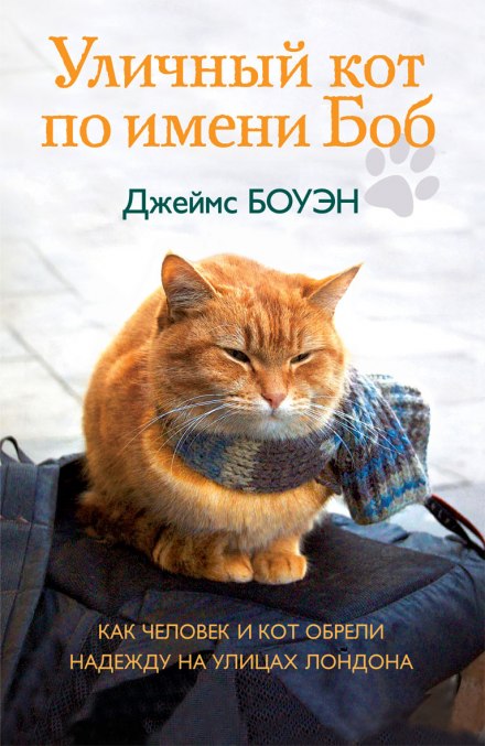 Уличный кот по имени Боб - Джеймс Боуэн - Библиотека аудиокниг