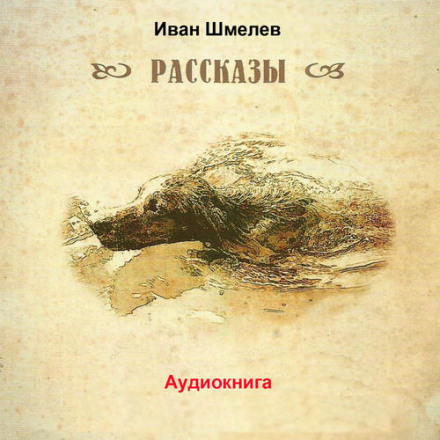 Последний выстрел - Иван Шмелёв - Библиотека аудиокниг
