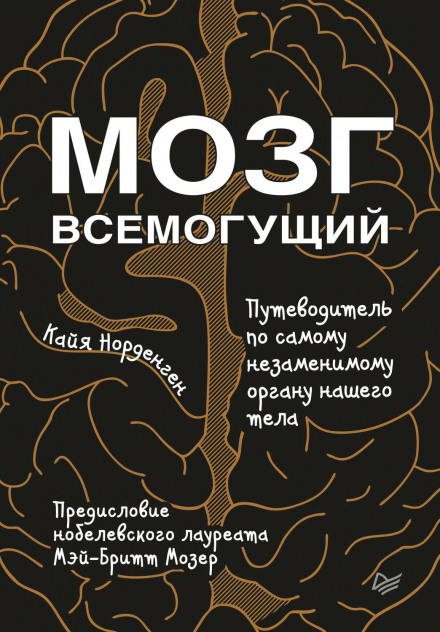 Мозг всемогущий. Путеводитель по самому незаменимому органу нашего тела - Кайя Норденген - Библиотека аудиокниг