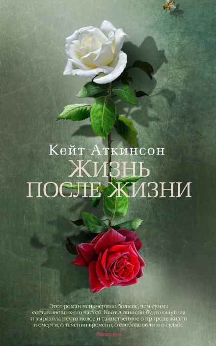 Жизнь после жизни - Кейт Аткинсон - Библиотека аудиокниг