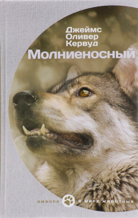 Молниеносный - Джеймс Оливер Кервуд - Библиотека аудиокниг