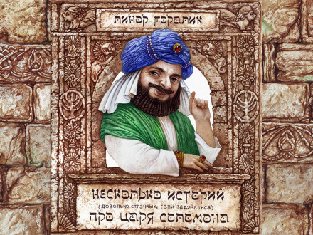 Несколько довольно странных (если задуматься) историй о царе Соломоне - Линор Горалик - Библиотека аудиокниг