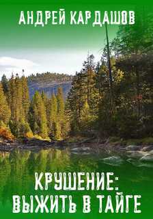 Крушение: Выжить в Тайге - Андрей Кардашов - Библиотека аудиокниг