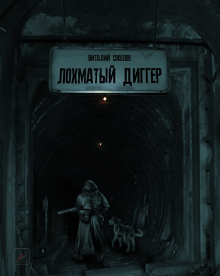 Лохматый диггер - Виталий Соколов - Библиотека аудиокниг
