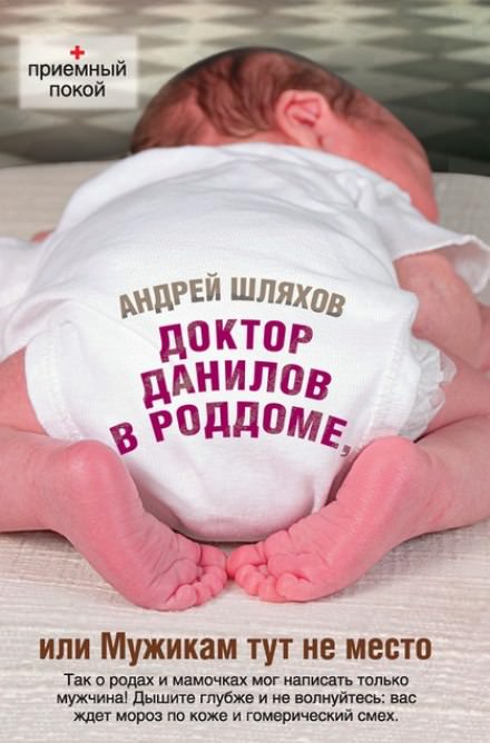 Доктор Данилов в роддоме, или Мужикам тут не место - Андрей Шляхов - Библиотека аудиокниг