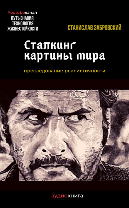 Сталкинг картины мира - Станислав Забровский - Библиотека аудиокниг