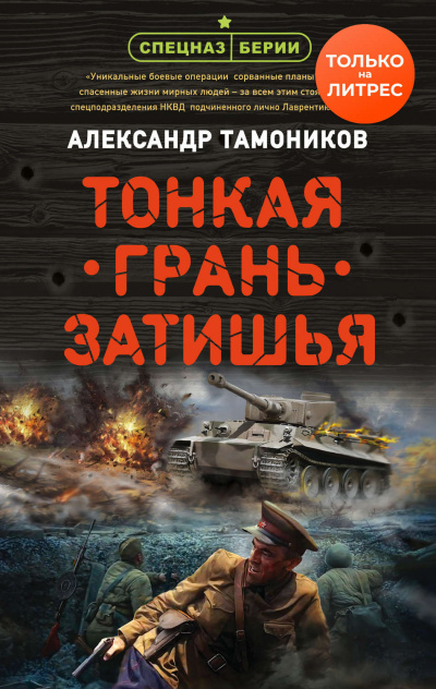 Тонкая грань затишья - Александр Тамоников - Библиотека аудиокниг
