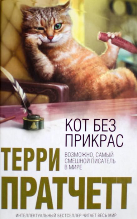 Кот без дураков - Терри Пратчетт - Библиотека аудиокниг