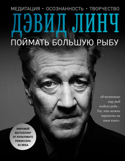 Поймать большую рыбу. Медитация, осознанность, творчество - Дэвид Линч - Библиотека аудиокниг