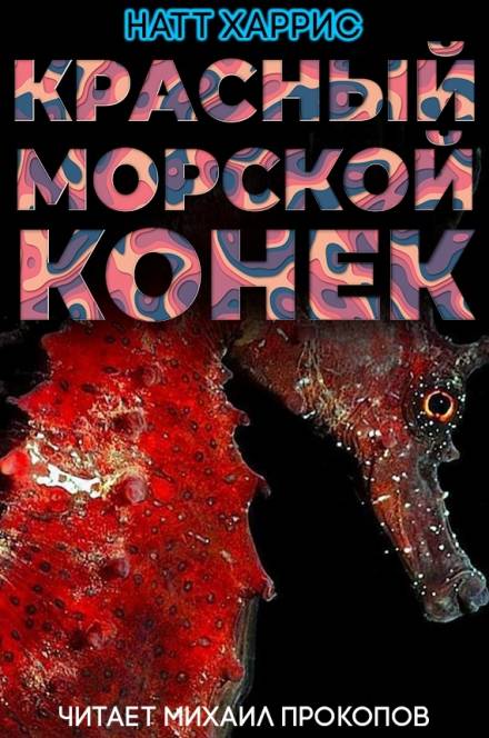 Красный морской конёк - Данимира То - Библиотека аудиокниг