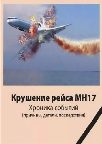 Крушение рейса МН17. Хроника событий - Джон Доу - Библиотека аудиокниг