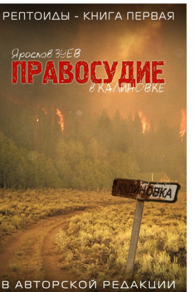Правосудие в Калиновке - Ярослав Зуев - Библиотека аудиокниг