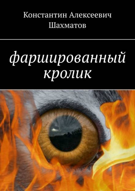 Фаршированный кролик - Константин Шахматов - Библиотека аудиокниг