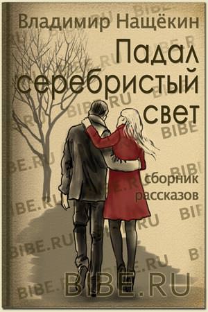 Падал серебристый свет - Владимир Нащекин - Библиотека аудиокниг