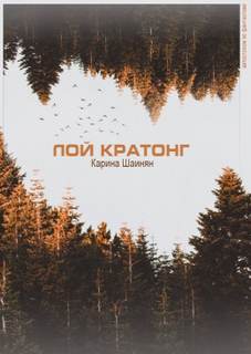 Лой Кратонг - Карина Шаинян - Библиотека аудиокниг