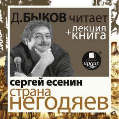 Страна негодяев - Сергей Есенин - Библиотека аудиокниг