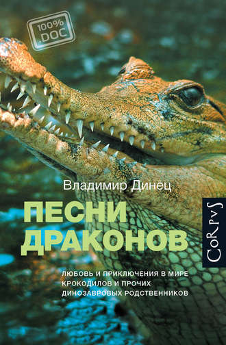Песни драконов - Владимир Динец - Библиотека аудиокниг