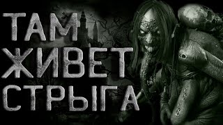 Там живет Стрыга - SMS - Библиотека аудиокниг