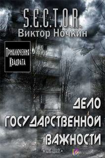 S.E.C.T.O.R. Дело государственной важности - Виктор Ночкин - Библиотека аудиокниг