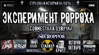 Эксперимент Вечность. Ожить. Любой. Ценой - RORROH - Библиотека аудиокниг