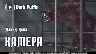 Камера - Джон Кейз - Библиотека аудиокниг