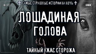 Ужас сторожа. Лошодиная голова - Sallivan - Библиотека аудиокниг