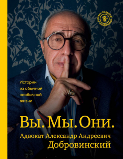Вы. Мы. Они. Истории из обычной необычной жизни - Александр Добровинский - Библиотека аудиокниг