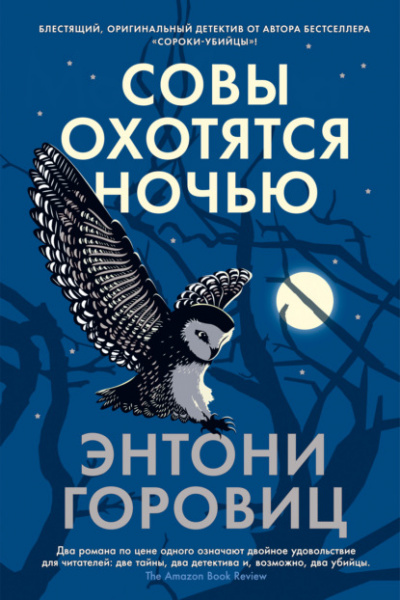 Совы охотятся ночью - Энтони Горовиц - Библиотека аудиокниг