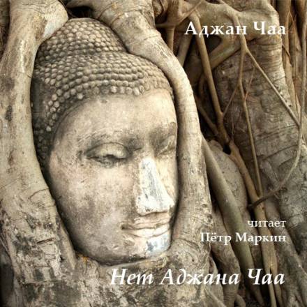 Нет Аджана Чаа - Аджан Чаа - Библиотека аудиокниг