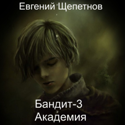 Академия - Евгений Щепетнов - Библиотека аудиокниг