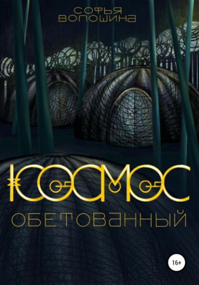 Космос обетованный - Софья Волошина - Библиотека аудиокниг