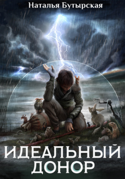 Академия. Книга 2, Герой - Наталья Бутырская - Библиотека аудиокниг