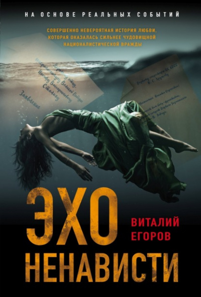 Эхо ненависти - Виталий Егоров - Библиотека аудиокниг