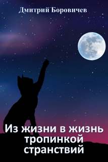 Из жизни в жизнь тропинкой странствий - Дмитрий Боровичёв - Библиотека аудиокниг