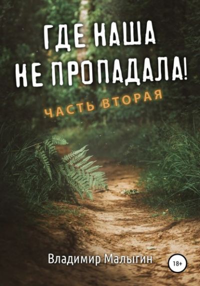 Где наша не пропадала! Часть 2 - Владимир Малыгин - Библиотека аудиокниг
